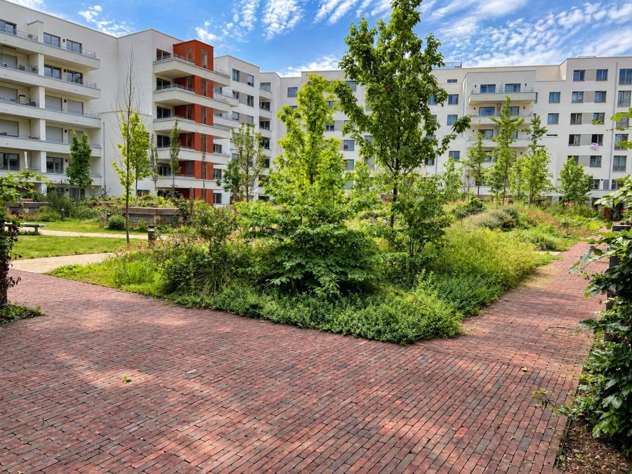 Innenhofbereich mit Grünanlagen – weitere Ansicht